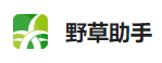 野草助手的LOGO图片