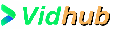 VidHub的LOGO图片
